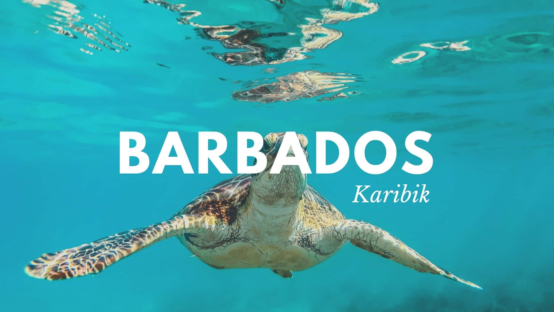 „Barbados“